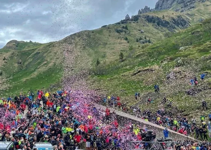 premiazioni